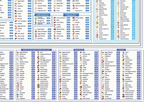 The Nutrient Density Chart® (Digital Chart)