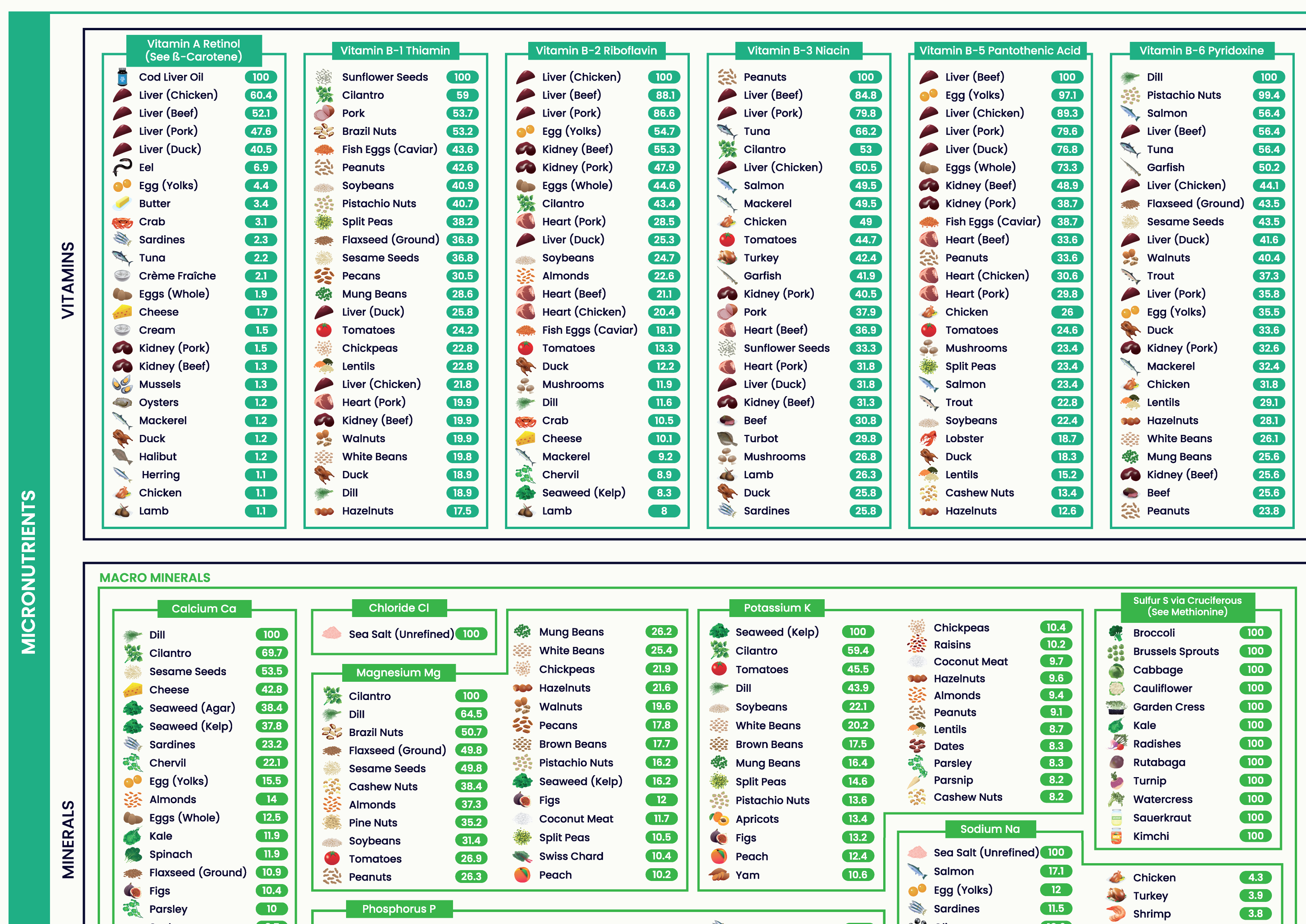 Java Nutrient Chart The Nutrient Density Chart® (Digital Chart)